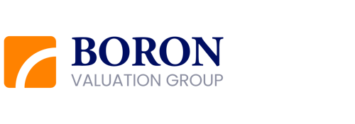 Habilis Evolution Boron Valuation Group