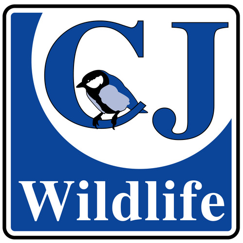 Key Account Manager